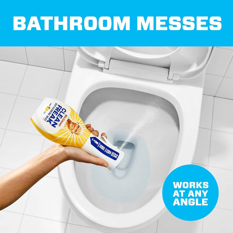 Bathroom Cleaners