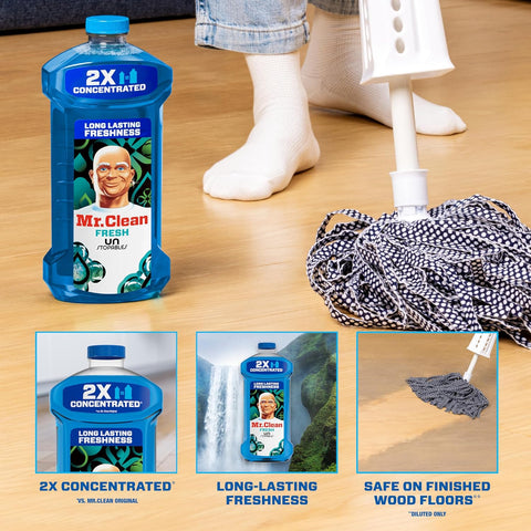 Floor Cleaners